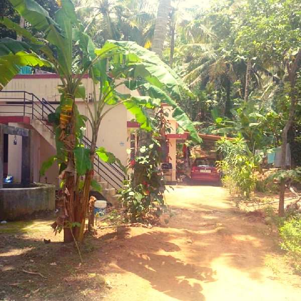 EQ8_P1011 - 23.5 cent land with 1000 sqrft house for sale  near Nettayam Jn