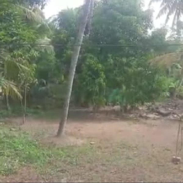 EQ8_P1016 - 52 cent land for sale in Kainagiri, Alappuzha